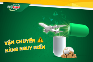Đây là một trong các dịch vụ tiêu biểu đang được Skylines Express đưa vào hoạt động.