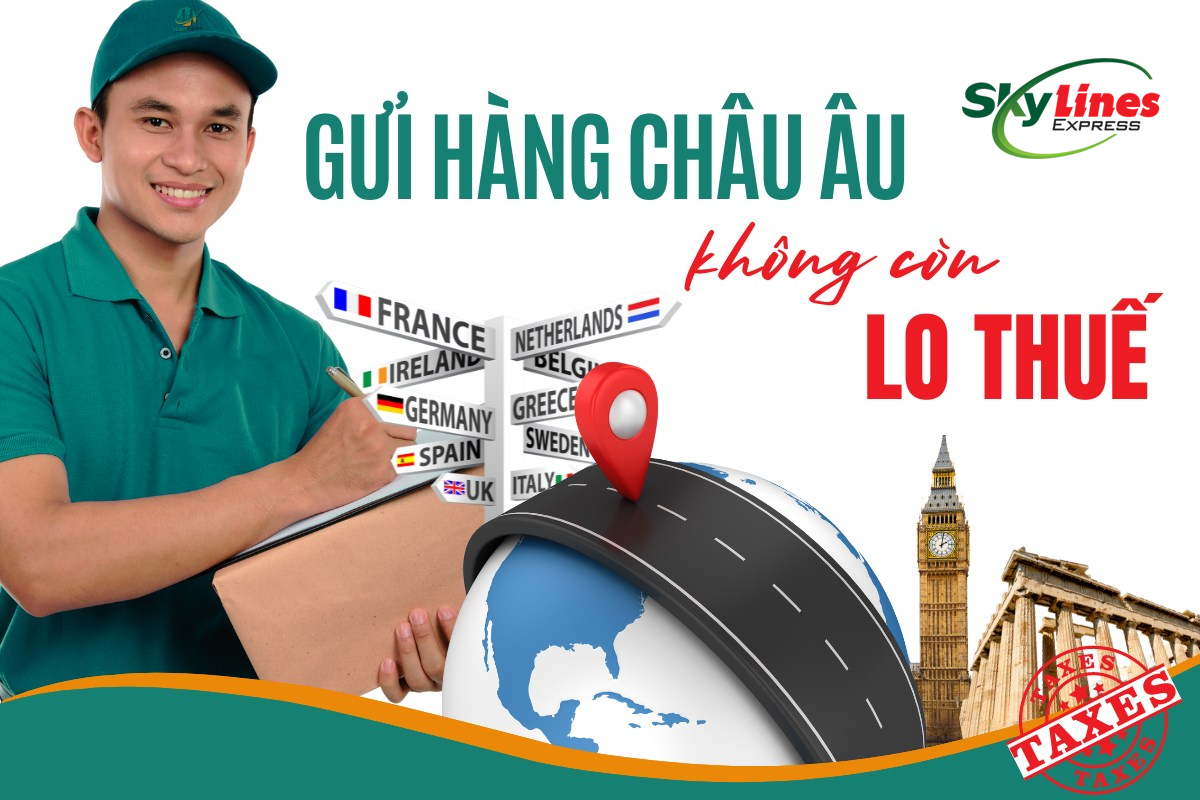 Hiện tại, Skylines Express cung cấp các giải pháp dịch vụ đa dạng.